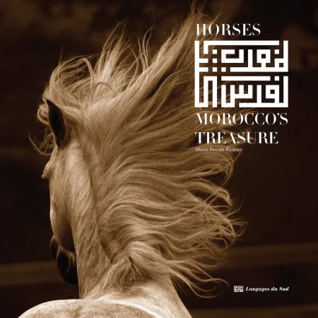 horses moroccos treasure anglais