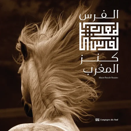 le cheval tresor du maroc arabe