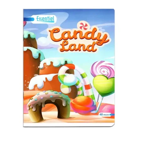 Cahier 48 pages 17x22