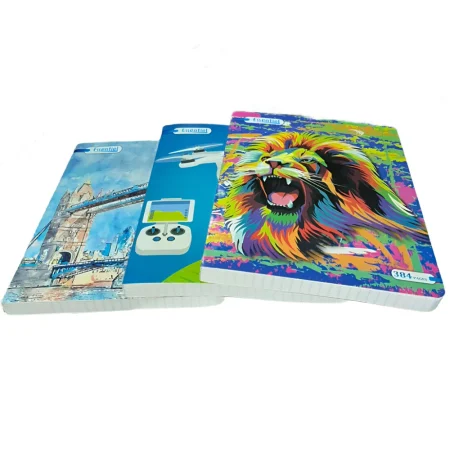 Cahier 384 pages 17×22 – Essentiel