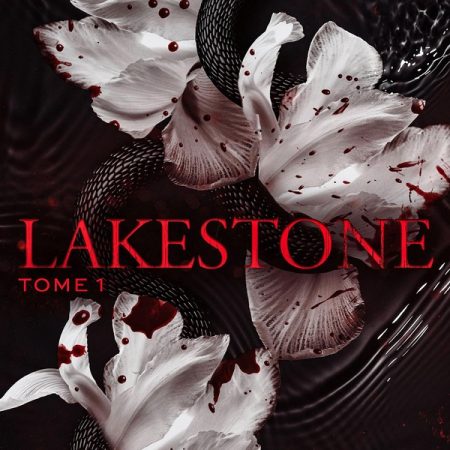 Lakestone - Tome 1 | Sarah Rivens 28 9782017207030 1 75.jpg