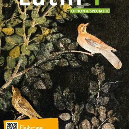 Latin Terminale – Option et spécialité 16 9782401077133 1 75.jpg